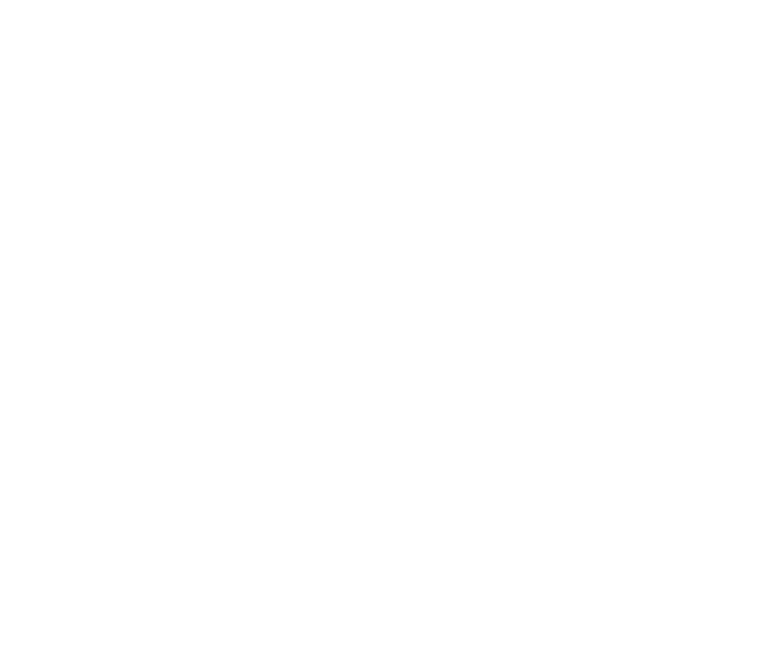 Red Teaming